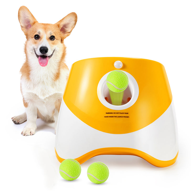 Automatic Throwing Machine  Pet Outdoor Toy Ball Dog Tennis Launcher  Dog Walking Tool